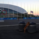 Illustration for article titled Sochi Hires Private Company To Murder Stray Dogs Ahead Of Olympics